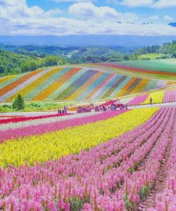 Hokkaido Blossoms Paint By Numbers