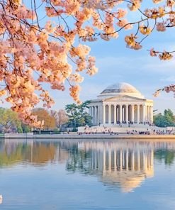 Cherry Blossom Jefferson Memorial Paint By Numbers