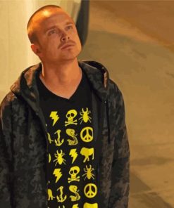 Jesse Pinkman Breaking Bad Paint By Numbers