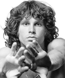 Jim Morrison Celebrity Paint By Numbers