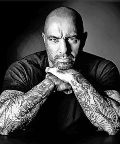 Joe Rogan Paint By Numbers Kit