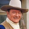 John Wayne Cowboy Paint By Numbers