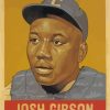 Josh Gibson Negro League Paint By Numbers