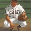Josh Gibson Baseball Paint By Numbers