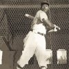 Josh Gibson Baseball Legend Paint By Numbers