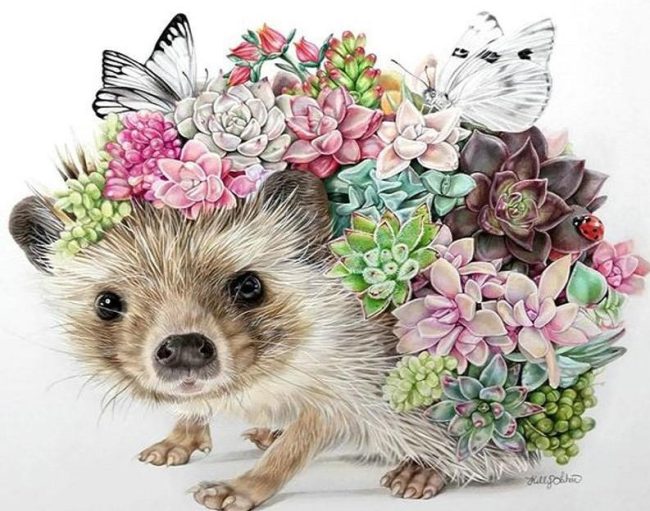 Hedgehog with Flowers Paint By Numbers