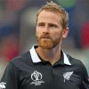 Kane Williamson Cricket Icon Paint By Numbers