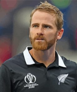 Kane Williamson Cricket Icon Paint By Numbers