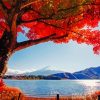 Kawaguchi Lake Mount Fuji Paint By Numbers