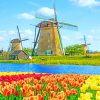 Kinderdijk Windmills Nature Paint By Numbers