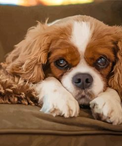 King Spaniel Brown Dog Paint By Numbers