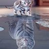 Kitty and Tiger Animal Paint By Numbers