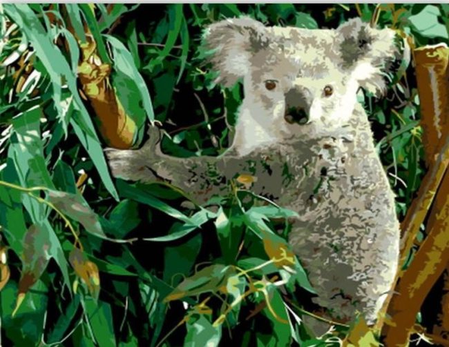 Koala Eucalyptus Wildlife Paint By Numbers