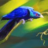 Blue Koel Bird Paint By Numbers