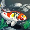 Koi Fish Tropical Paint By Numbers
