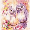 Purple Owls Birds Paint By Numbers