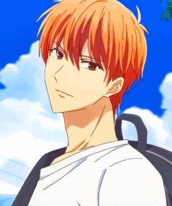Kyo Sohma Fruits Basket Paint By Numbers
