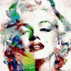 Marilyn Monroe Blonde Icon Paint By Numbers
