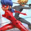 Ladybug and Cat Noir Cartoon Paint By Numbers