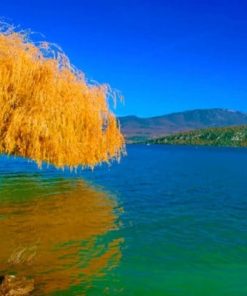 Lush Willow Tree Landscapes Paint By Numbers