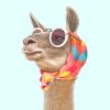 Trendy Glasses Lama Paint By Numbers