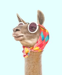 Trendy Glasses Lama Paint By Numbers