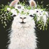 Flower Llama Cute Animal Paint By Numbers