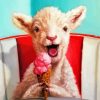 Lamb Enjoying Ice Cream Paint By Numbers