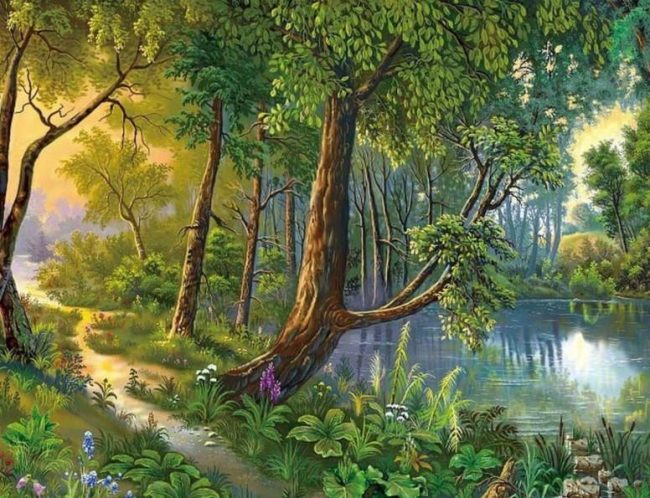 Serene Jungle Landscape Paint By Numbers