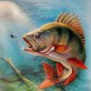 Largemouth Bass Oceanic Paint By Numbers