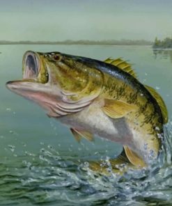 Largemouth Bass Ocean Paint By Numbers