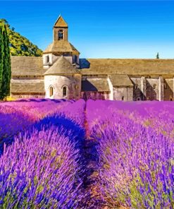 Provence Lavender Landscapes Paint By Numbers