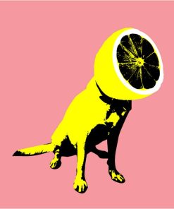 Lemon Dog Animal Picture Paint By Numbers