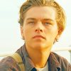 Young Leonardo DiCaprio Paint By Numbers