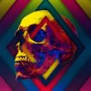 Lifeful Skull Abstract Paint By Numbers