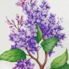 Beautiful Lilac Blooms Paint By Numbers