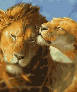 Lion Pair Paint By Numbers