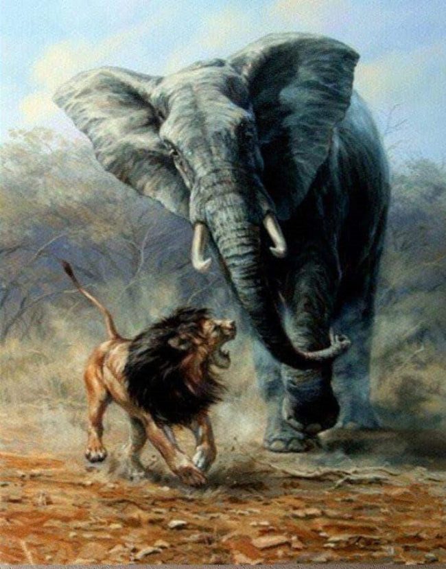 Lion and Elephant Wildlife Paint By Numbers