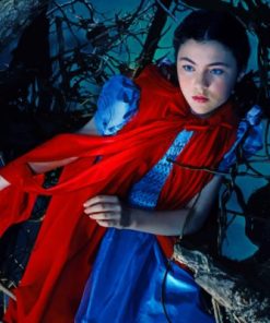 Red Riding Hood Story Paint By Numbers