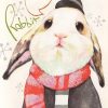 White Rabbit Animal Paint By Numbers