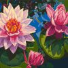Lotus Blossom Pink Paint By Numbers