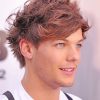 Cute Louis Tomlinson Art Paint By Numbers