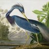 Blue Heron Wildlife Paint By Numbers