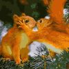 Golden Squirrel Love Paint By Numbers
