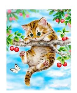 Cute Kitten Paint By Numbers