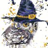 Magic Owl Splash Paint By Numbers
