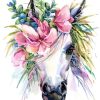 Magical Unicorn Animal Paint By Numbers