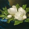 Magnolias Painted Flower Picture Paint By Numbers