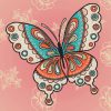 Mandala Butterfly Art Kit Paint By Numbers