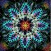 Colorful Mandala Flower Paint By Numbers